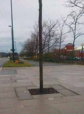 gtFortress tree grilles supplied to the Telford Town Centre Box Road Regeneration Project           