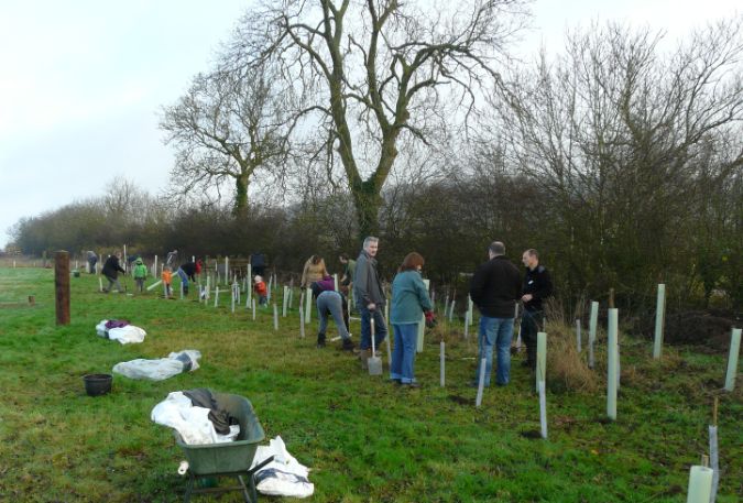 Tree planting project at Sun Rising nature reserve burial ground                                                                                                                                                                                                                                                                                                                                                                                                                                                    