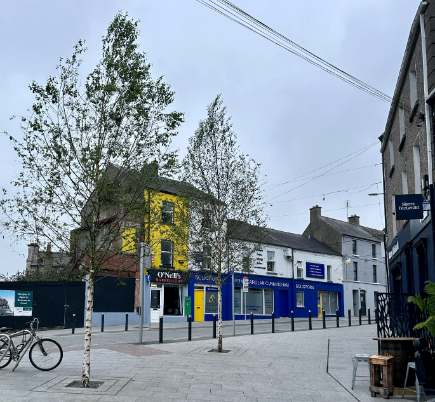 Green-tech flourishing in Ireland, with TreeParker® urban tree pits