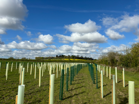 Green-tech supplies tree planting materials to create new biodiverse woodland
