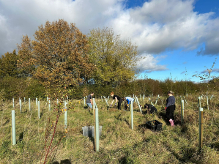 Green-tech Helps Grandmother Janet Willoner Edge Closer to Her Goal of Growing 5,000 Trees!