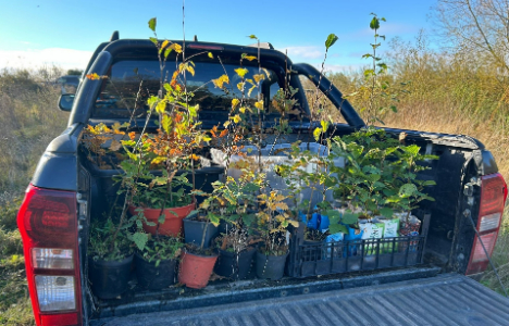 Green-tech Helps Grandmother Janet Willoner Edge Closer to Her Goal of Growing 5,000 Trees!